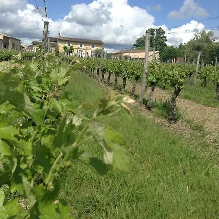 Chateau Nardou Maison d'hôtes Saint-Sulpice-et-Cameyrac