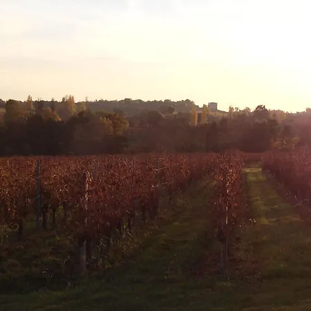 Chateau Nardou