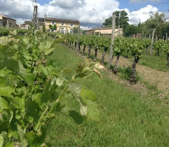 Chateau Nardou Gasthuis Saint-Sulpice-et-Cameyrac