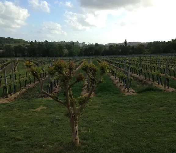 Chateau Nardou